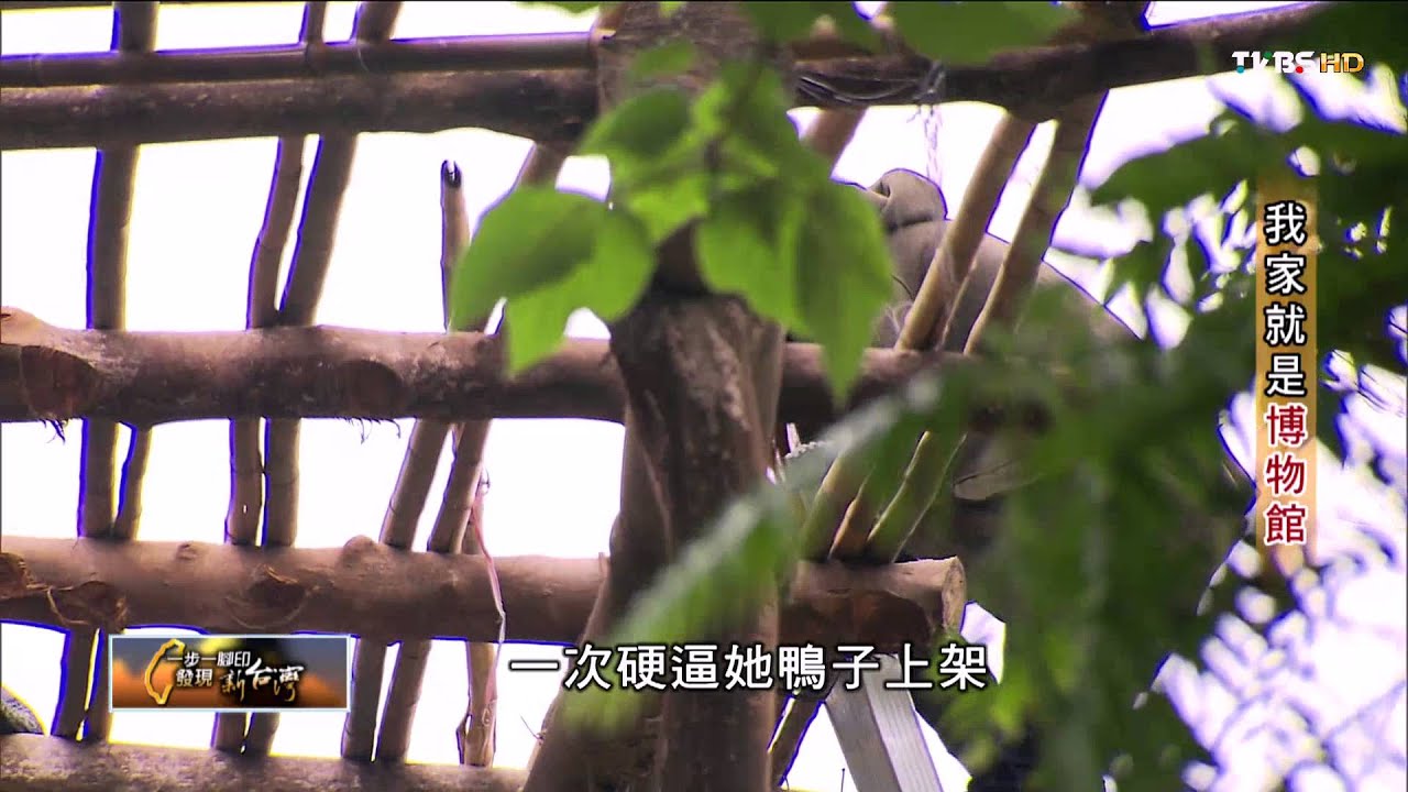 ​【一步一腳印】我家就是博物館