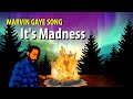 Marvin Gaye It's Madness