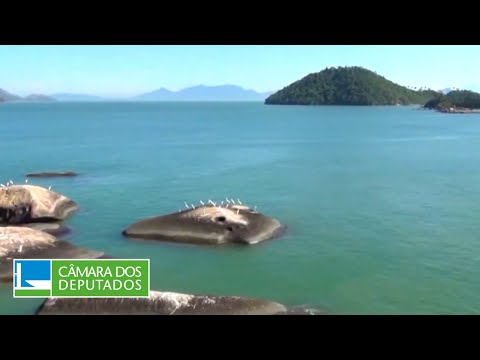 Deputados discutem termoelétricas na Baía de Sepetiba (RJ) - 04/08/22