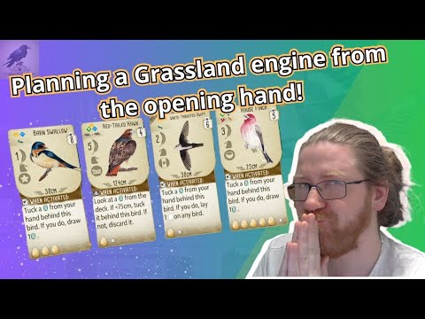 Planning a Grasslands Engine from the opening hand! #wingspan #oceania #harbingeriv #strategy