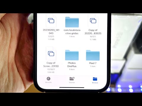 ANY iPhone How To Access File Manager!