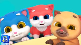 Download lagu Tiga anak kucing kecil musik prasekolah untuk anak-anak mp3