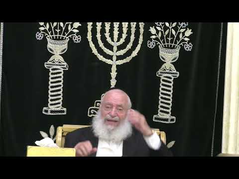 מסר קצר לפרשת שופטים | מאת מרן הרב אשר וייס שליט"א | תשפ"ה
