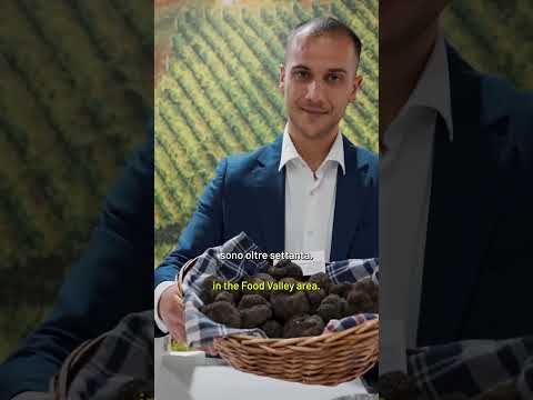Parma: Il Gusto della Crescita - Champions of #MadeInItaly with Pellegrino - EP.18