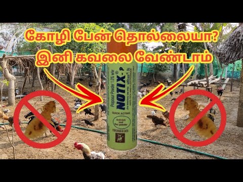கோழி பேன் தொல்லையா?இனி கவலை வேண்டாம்|Hen lic problem solved|Notix powder