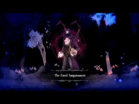 Salt and Sacrifice 4 different builds vs Sanguimancers fight showcase practice record