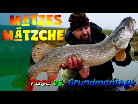 Matzes Mätzchen - Pose vs. Ground Lead