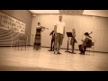 Drew Sarich & String Quartet - Falling to pieces ...