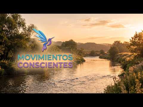 Los 4 Principios del Movimiento Consciente: Cómo Fluir sin Esfuerzo