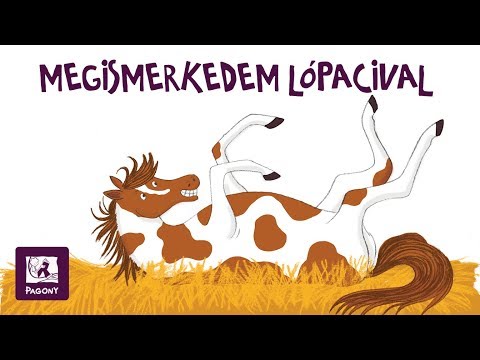 Kockacukor lovassuli - Tudj meg mindent a lovakról!