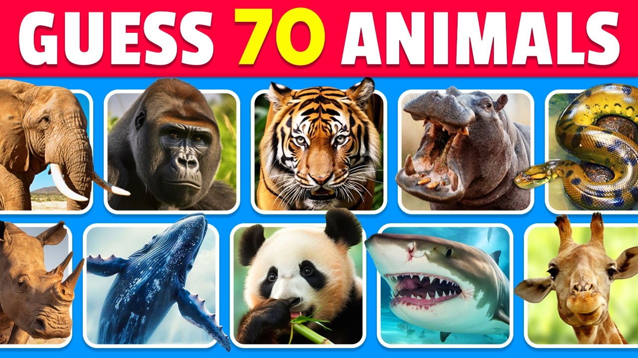 Guess 70 GIANT ANIMALS in 3 seconds 🐋🦍🦒 | EASY to IMPOSSIBLE