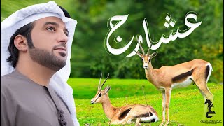 كلمات اغنية عشاج عيضه المنهالي