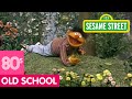 Sesame Street Learn About The Insects In Your Neighborhood