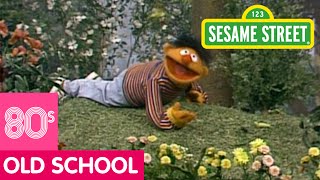 Sesame Street: Learn about the Insects in Your Neighborhood