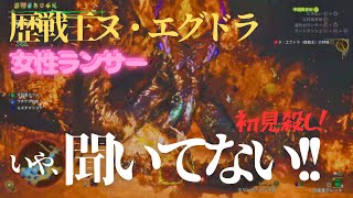 【初見】歴戦王ヌエグドラに、鼻風邪のまま挑んでみた、女性ランサーの成長記録【モンハンワイルズ】【PS5】