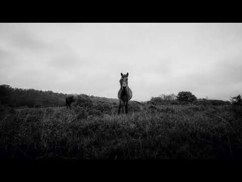 Antonio Deep Scarano, Salvatore Oppio, FlowerSons - Crazy Vision (Dark Afro Mix)