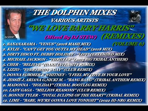 THE DOLPHIN MIXES - VARIOUS ARTISTS - ''WE LOVE BARRY HARRIS'' (REMIXES) (VOLUME 6)