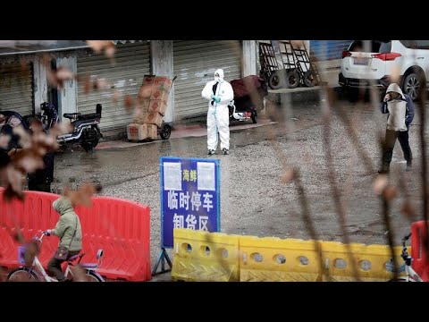 世衛組織啟動對COVID-19起源的調查。 (WHO kicks off investigation into COVID-19 origins)