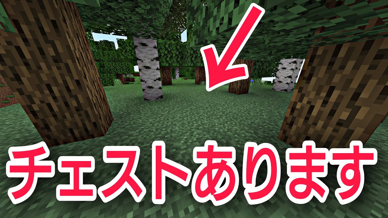 【簡単コマンド】高度なコマンドなしでも、作れちゃうんですね！！【統合版BE（Win10、Switch、pe、ps4、Xbox）】