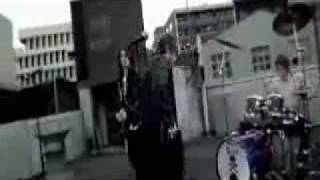 Short Stack - Drop Dead Gorgeous