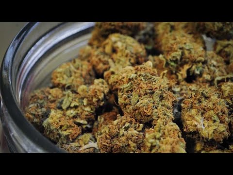 Mass. doctor on what marijuana drug reclassification means