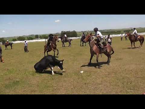 RUEDO DOMINGO  DE MAÑANA