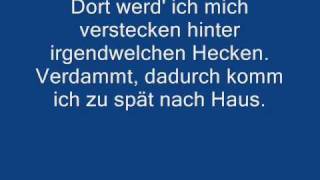 Die Toten Hosen - Im Wagen vor mir  [+Lyric].
