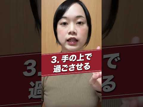 ショート動画の編集をします イメージ1