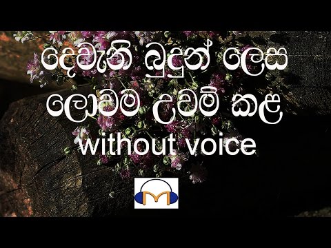 Dewani Budun Lesa Karaoke (without voice) දෙවැනි බුදුන් ලෙස