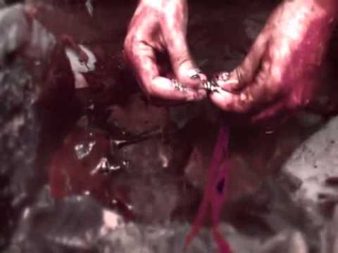 Nadie Sabe   Norick  Esteban Clean   Video Oficial1