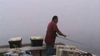 preview picture of video 'Mackerel Fishing in the Gulf of Maine'