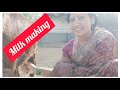 Milk Making