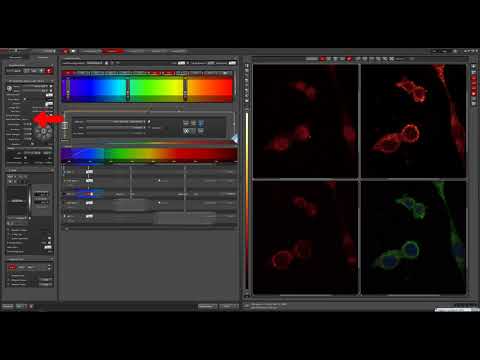 Leica SP8 Confocal Tutorial  - Cell Imaging Facility