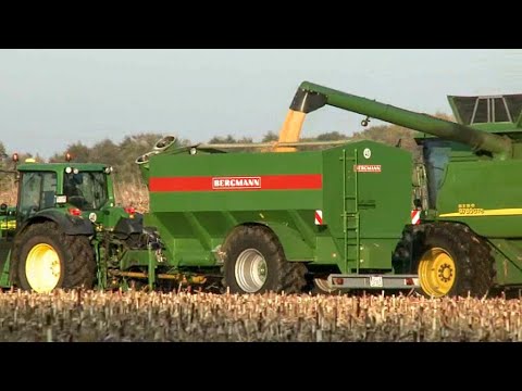 BERGMANN GTW 21 | Transfer Trailer for grain, maize and fertiliser | 21 m³ Capacity