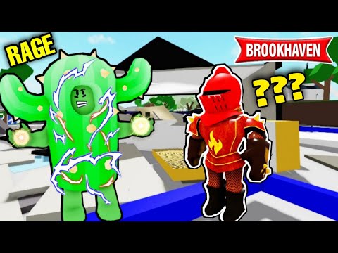 CACTUS EXPLODES BROOKHAVEN CITY WITH RAGE BECAUSE...! ROBLOX - BROOKHAVEN RP!