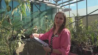 Behind the Scenes: UTS | Graduate Tour | Botanical Science