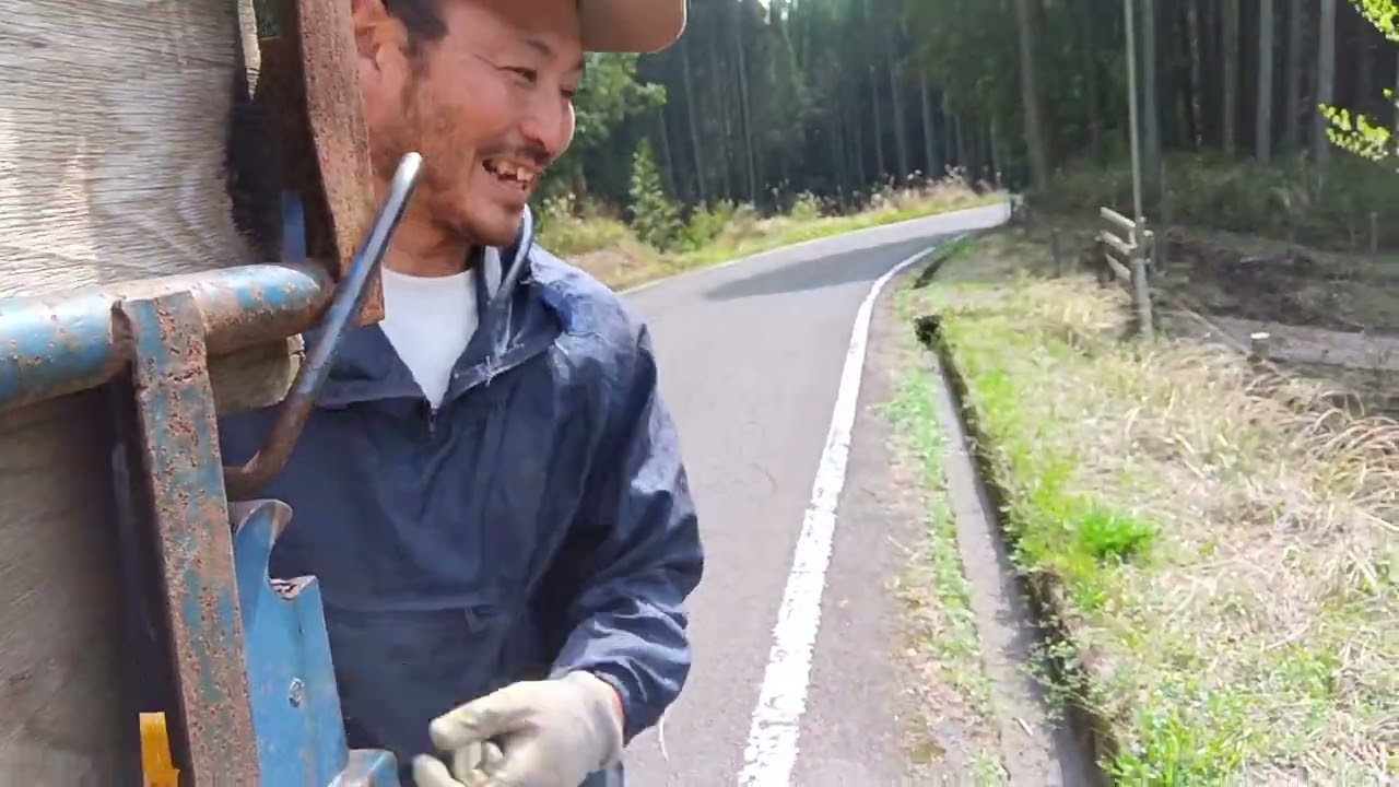 出荷出来ないにんじんは酪農仲間と連携して牛さんに食べてもらいます。#西ノ村ファーム#酪農#にんじん#そのやま農園