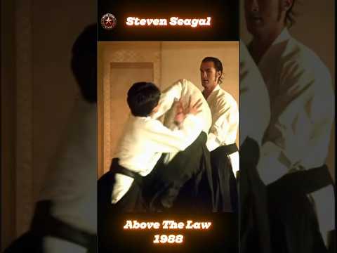 Is Steven Seagal a Con Artist or a Real Aikido Master?