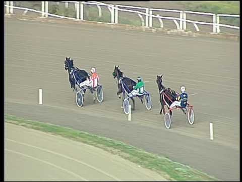 Trotto 06/11/2016 - 1ª prova di qualifica