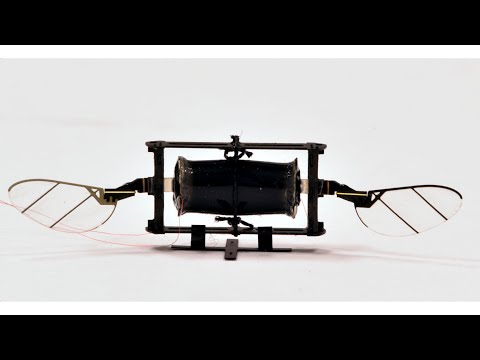 Video Friday: Nanotube-Powered Insect Robots