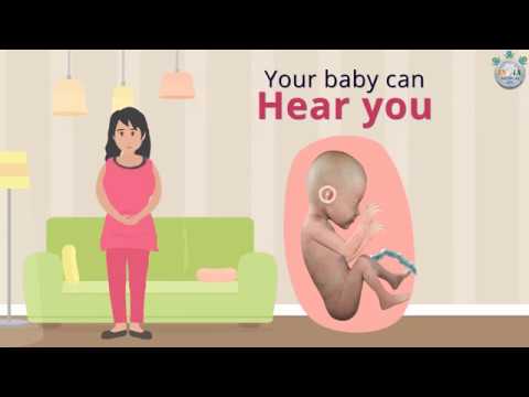 Baby’s Development at 26th Week of Pregnancy Part 1