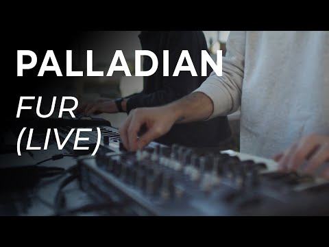 PALLADIAN - Fur (Live)