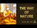 The Way of Nature | Ajahn Anan | 10 May 2022