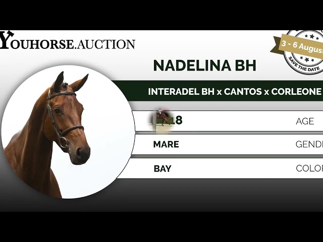 Nadelina trainingsvideo