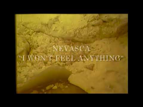 Nevasca - I Won't Feel Anything (Audio)