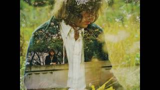 Ryley Walker - Summer Dress