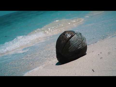 Sirène D'or - Mauritius Tino Boats
