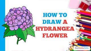 How to Draw a Hydrangea Flower in a Few Easy Steps: Drawing Tutorial for Beginner Artists