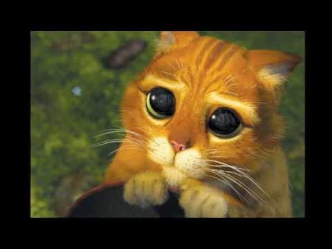 BANDA ASTILLEROS-TE GUARDARE EN UNA BOTELLITA