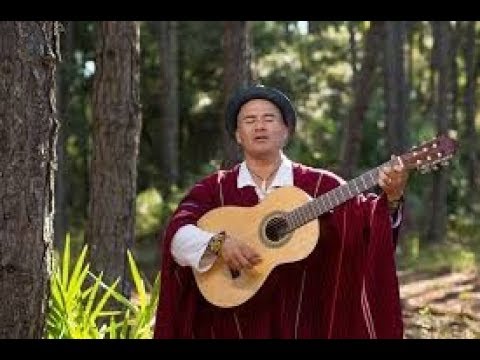 FREDY VELASQUEZ - UN PAJARITO